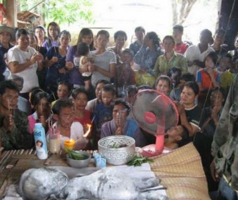 Creatură BIZARĂ descoperită în Thailanda | GALERIE FOTO
