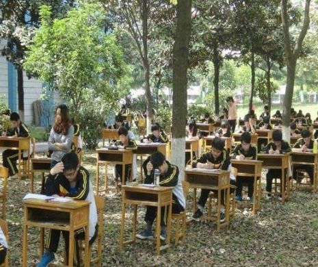 Gata cu copiatul! Studentii sunt obligaţi acum să dea examen în PĂDURE | GALERIE FOTO