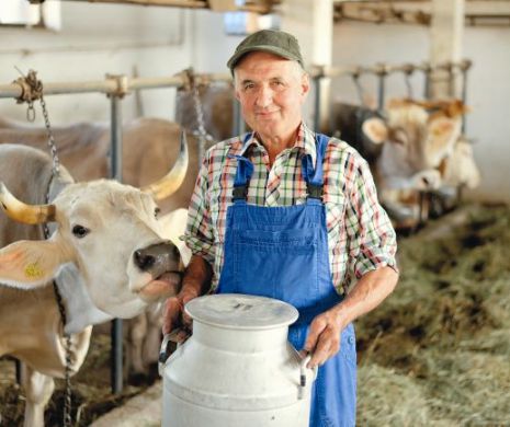 Importurile de lapte au scăzut