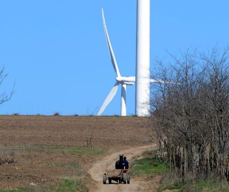Lovitură grea dată firmelor care mizau pe bani europeni pentru producerea energiei regenerabile