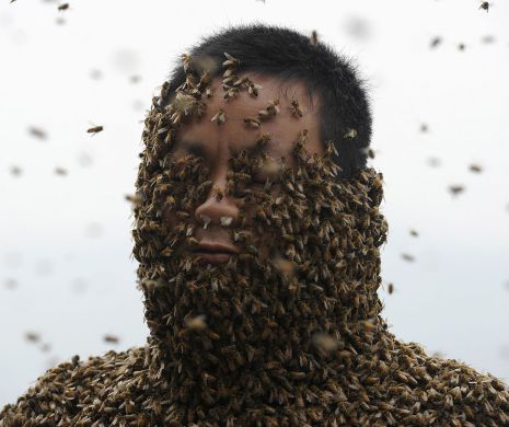 Nebunie sau curaj? Un bărbat a fost acoperit de 460 de mii de albine. A rezistat 40 de minute cu acest costum pe el | GALERIE FOTO