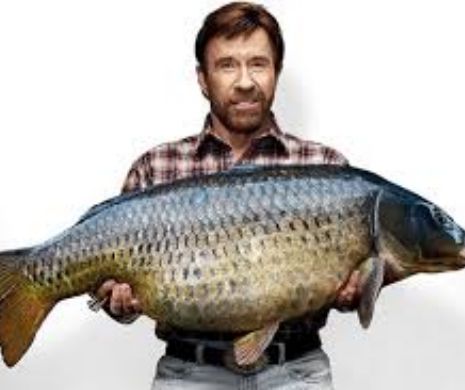 Nu e banc: Ce mănâncă Chuck NORRIS | VIDEO