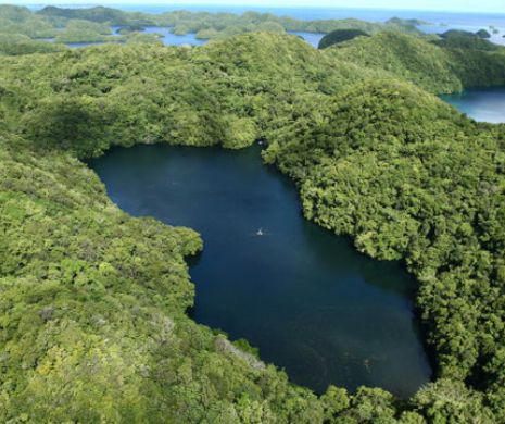 O fată a făcut scufundări într-un lac izolat. N-o să-ți vină să crezi ce a descoperit | VIDEO