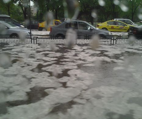 RUPERE DE NORI ÎN CAPITALĂ. Copaci la pământ, tramvaie blocate şi străzi înundate
