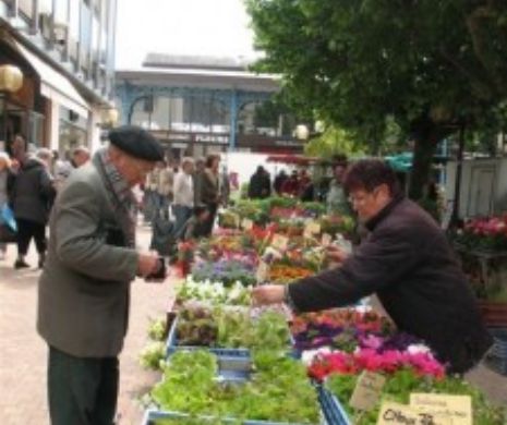 Te-ai întrebat vreodată? Ce conţine LEUŞTEANUL