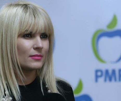 Udrea: Corpul de control al premierului s-a transformat în Corpul de control al Elenei Udrea
