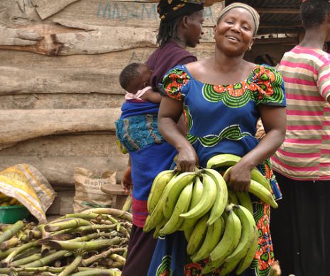 BANANELE modificate genetic pentru a compensa defictul de vitamina A, FINANŢATE de Bill Gates. Apoape un milion de copiii ar putea fi salvaţi de acestă descoperire