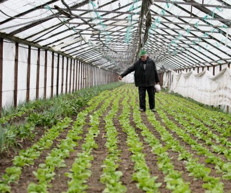 Constantin: Taxa pe stâlp s-ar putea modifica