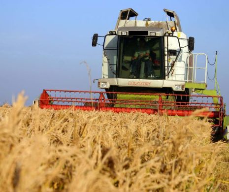 Frână în calea evazioniștilor din sectorul cerealelor. Legea certificatelor de depozit a fost adoptată