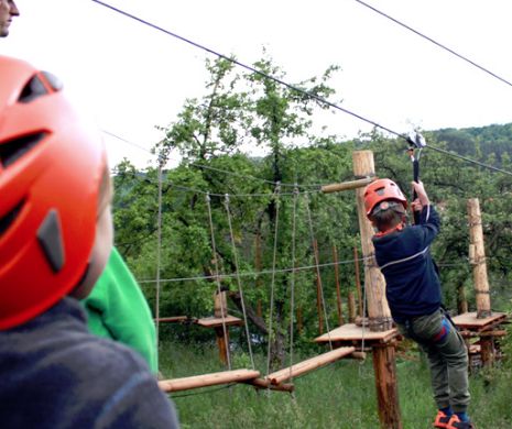 Iată ce au făcut Tripletii Nicoletei Luciu în prima excursie cu gradinita
