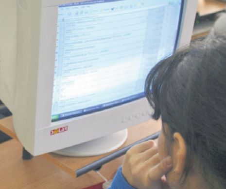 IT-iștii și tehnicienii cu specializări rare, cei mai căutați pe piața muncii