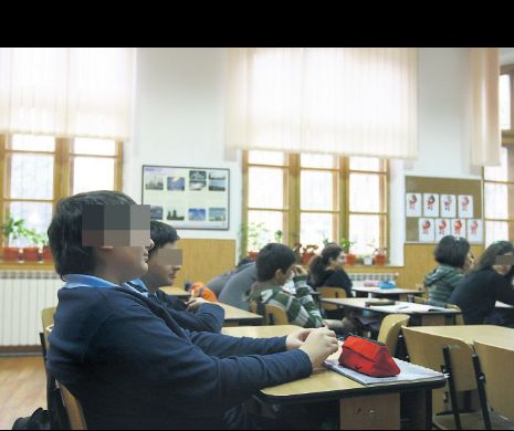 Laura Georgescu, chemată să dea explicaţii în Parlament