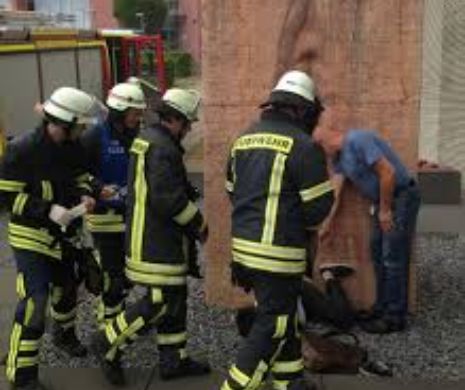 S-au chinuit să îl SALVEZE: Cum a rămas acest STUDENT blocat într-o ZONĂ SEXUALĂ | VIDEO