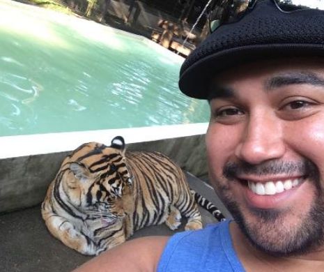 SELFIE-urile cu TIGRI au fost INTERZISE în New York