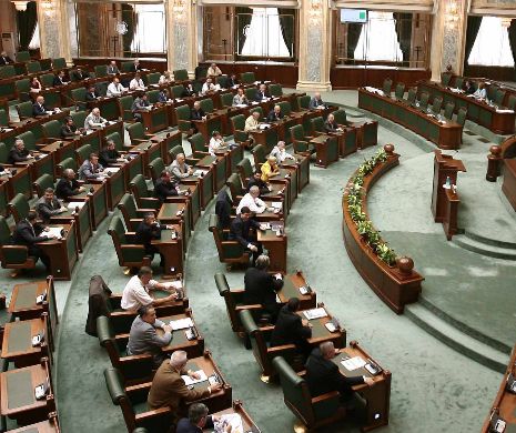 Senatul a cheltuit în martie 100.000 de lei pe deplasări externe