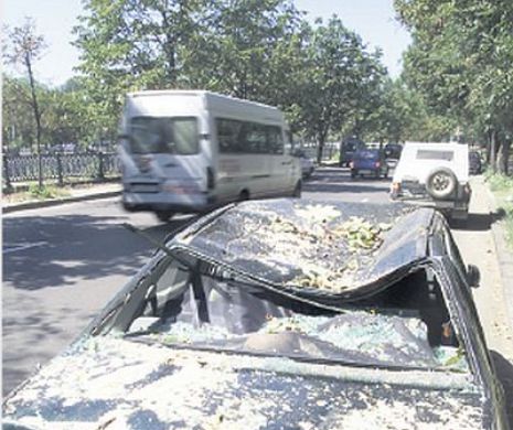Șofer beat, care a provocat un accident cu doi morți, condamnat cu suspendare