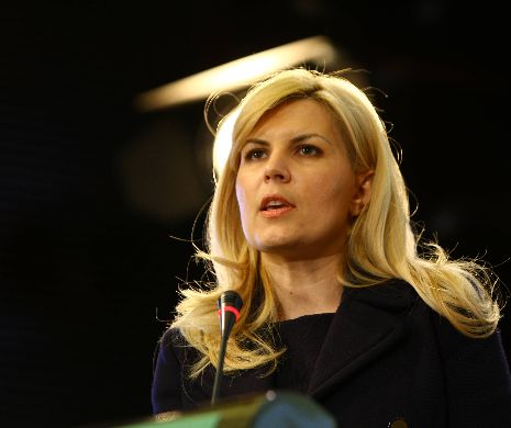 Udrea atacă dur guvernul: „Ponta vinde blana ursului din pădure. Nu e în stare să reducă CAS-ul şi să creeze locuri de muncă”