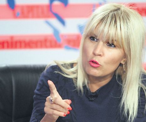 Udrea îl reclamă pe Tăriceanu la DNA pentru „bilețelul roz”