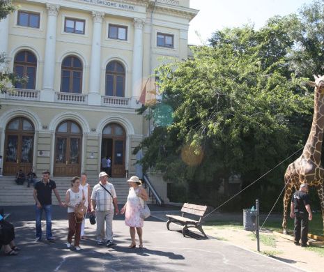 ZooMonetar. Fauna lumii pe bancnote şi monede