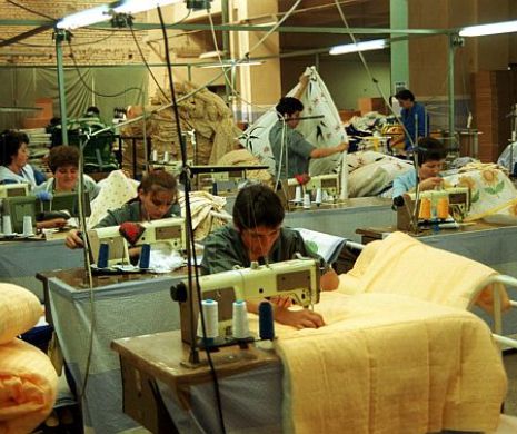 Aproape 100.000 de joburi în plus față de 2013. Cine le ocupă?