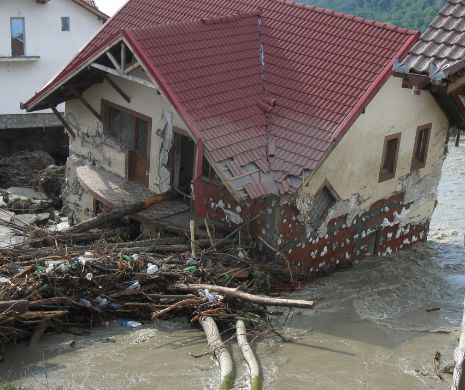 Bărbat dispărut de două zile în judeţul Vâlcea, abandonat de autorităţi. Fiul de 14 ani îl caută neîncetat