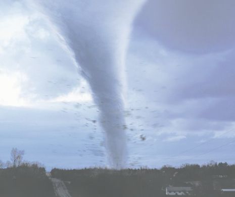 BOTOŞANI. Zeci de case distruse de o tornadă