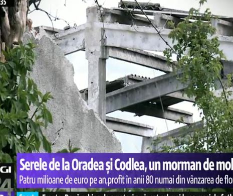 CULISE. Ce fac autoritățile ca să scape de reporterii „România furată”