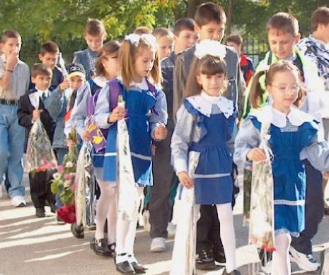 Cum arată structura  noului an şcolar