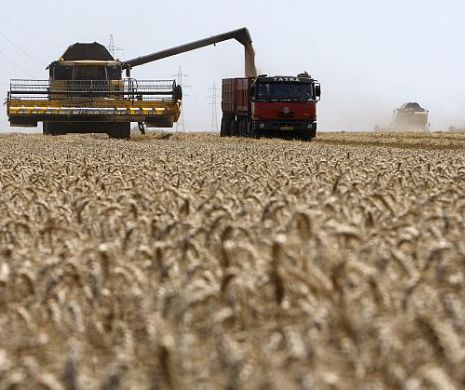 Exporturile de produse agroalimentare au luat avânt în primul trimestru