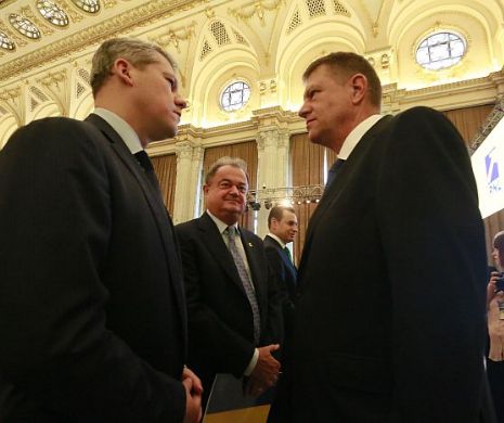 Fuziune cu hopuri: PDL lucrează, PNL supervizează