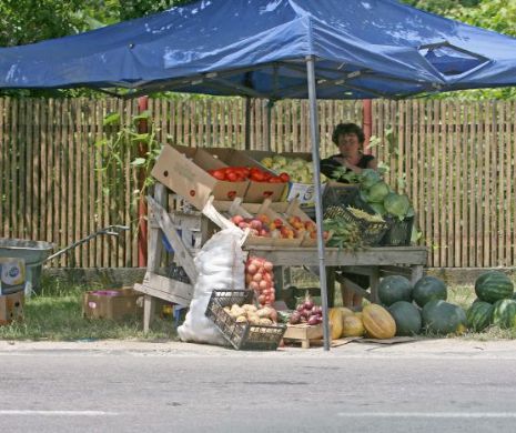 Importurile scot produsele românești de pe piață