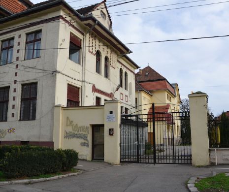 INCREDIBIL. Cum și-a făcut CLANUL CÂRPACI stradă exclusivistă în centrul Timișoarei