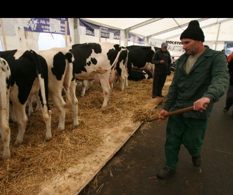 Lupta pe 150 milioane de euro, la final