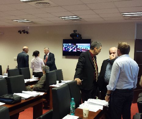 Mircea Raicu: Prefectul Capitalei este orbit de dorința de a-și servi stăpinii politici