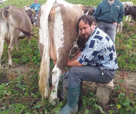 Norma de venit falimentează micii producători