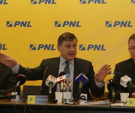 PNL îşi stabileşte luni candidatul la Preşedinţie