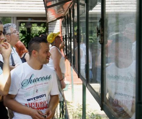 REZULTATE BACALAUREAT 2014. VEZI notele din județul BIHOR