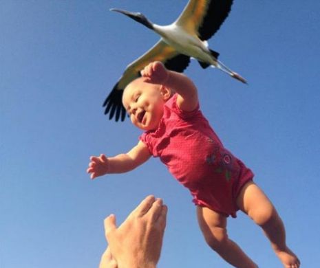 Sunt cât se poate de reale. Imagini incredibile surprinse la momentul potrivit | GALERIE FOTO