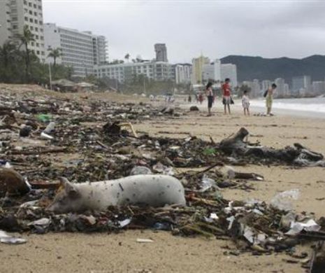 Uimitor: Celebra Acapulco NU ESTE ceea ce pare | VIDEO