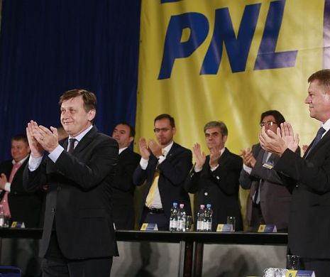 VEZI ce atribuţii au vicepreşedinţii PNL