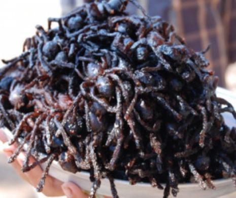 Zece delicatese ce taie pofta de mâncare