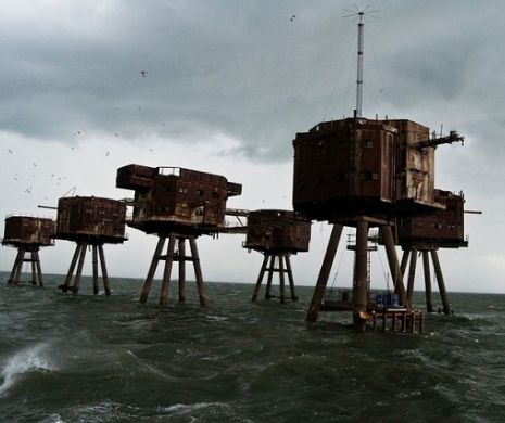 30 de pasageri clandestini descoperiţi într-un container în Anglia. Un bărbat şi-a pierdut viaţa