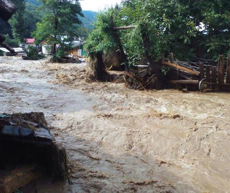 BILANŢUL INUNDAŢIILOR: Trei persoane au murit şi una este dată dispărută în judeţul Argeş. 1.832 de oameni au fost evacuaţi din calea apelor