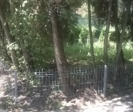 Cum se FURĂ din bugetul statului. Pentru un garduleţ de 20 de lei s-a plătit 205 lei