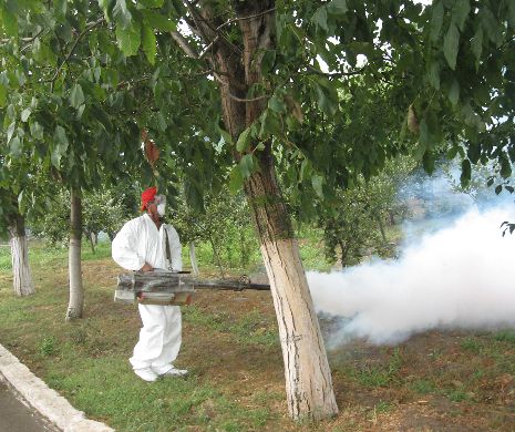 După Ebola și malarie, revine și virusul West Nile, adus de țânțari.