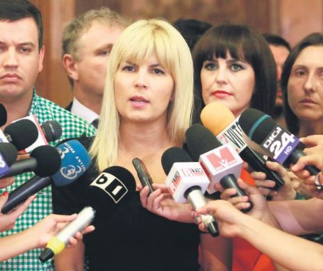 Elena Udrea: "Pe 16 noiembrie îl salut pe Victor Ponta de la Cotroceni"