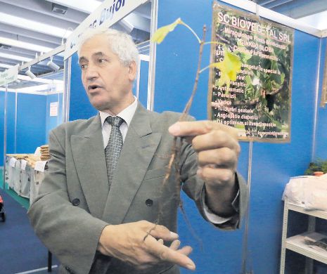 EXCLUSIV EVZ. Afacerea cu investiție zero și profit de mii de euro
