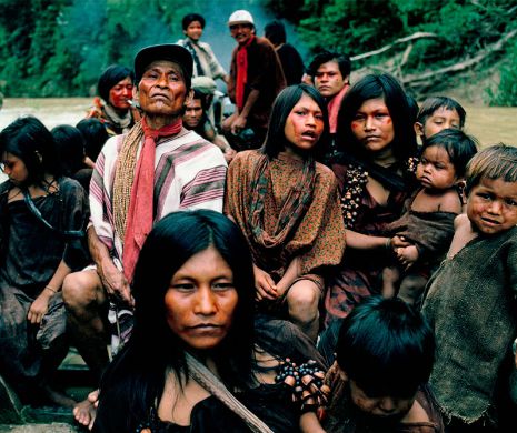 Imagini rare: Oamenii dintr-un TRIB IZOLAT au stabilit primul contact cu lumea | VIDEO