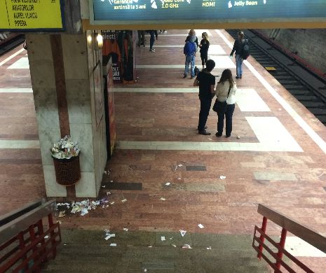 În pragul unei catastrofe subterane. Șobolanii rod cablurile de la Metrou