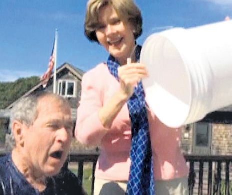 Între scop umanitar și nebunie